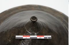 Foto von Bronzephalere (NHMW-PRAE-025079)